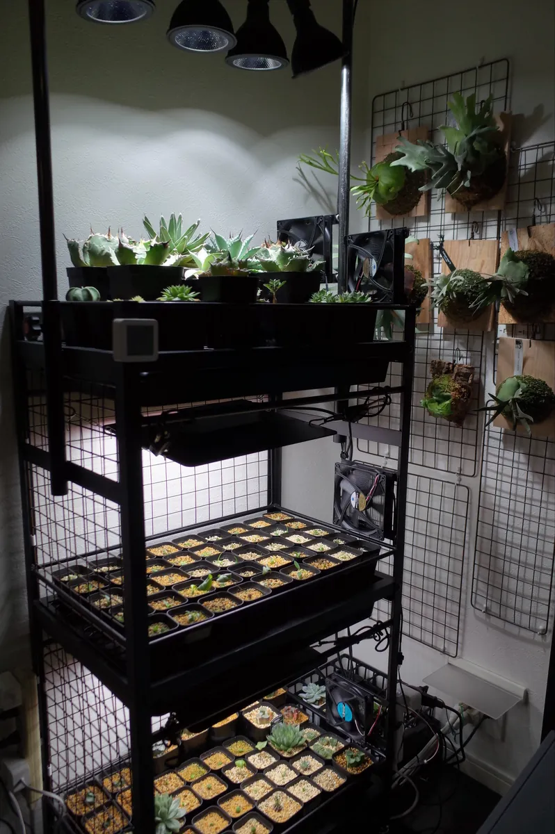植物棚のカバー写真