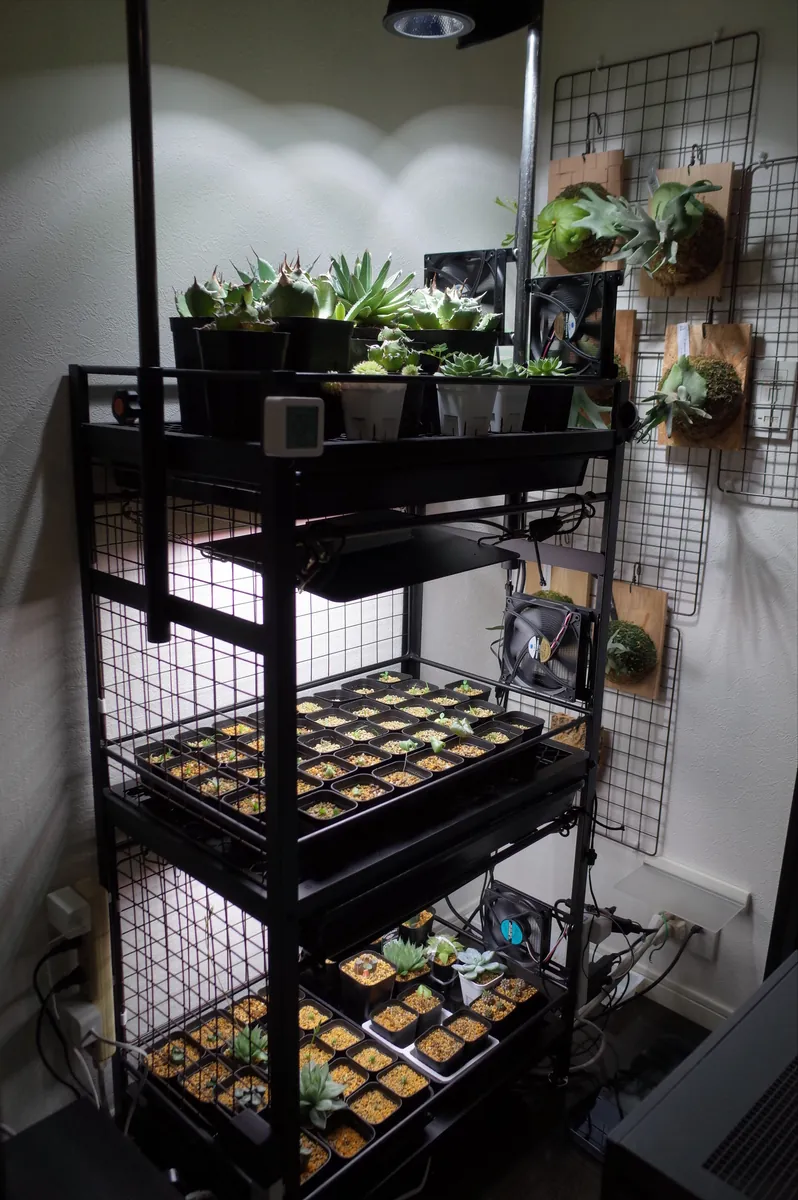 植物棚のカバー写真