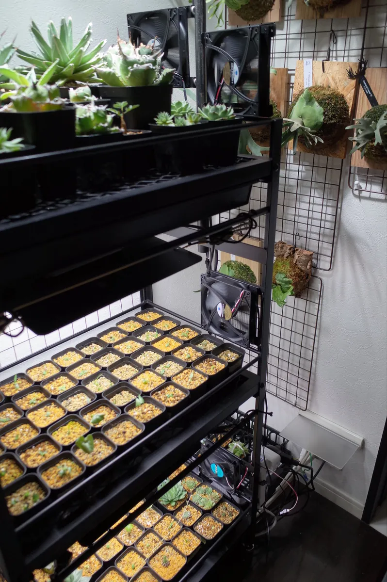 PCファンを植物棚用のファンにするの記事画像
